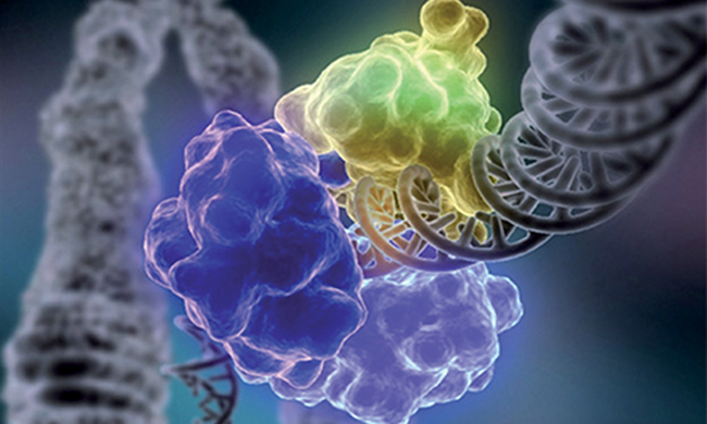 Hématologie - Cancers du sang : la recherche progresse